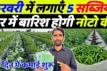 फरवरी में लगाएं ये 5 सब्जियां, होगी नोटों की बारिश – किसान जरूर जानें