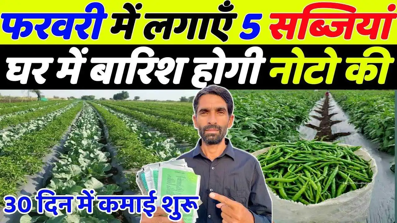 फरवरी में लगाएं ये 5 सब्जियां, होगी नोटों की बारिश – किसान जरूर जानें